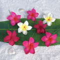 3 "Pele de flores de espuma hecha a mano PLUMERIA